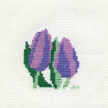 Judy Hoffman Purple Tulips