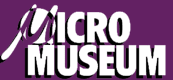 Micro Museum