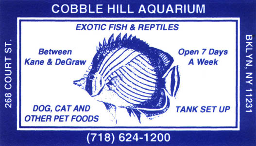 COBBLE HILL AQUARIUM